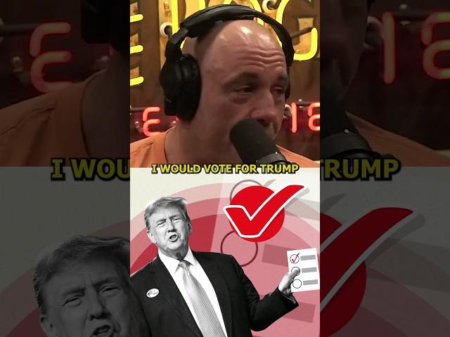 I Would Vote For Trump - Joe Rogan