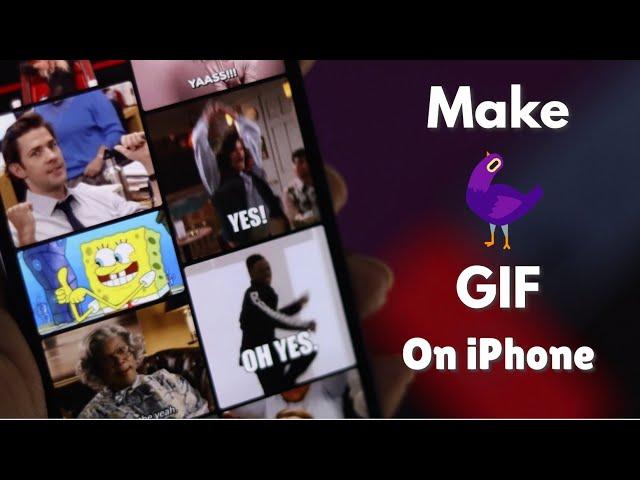 Easy Way: Make a GIF on iPhone | Convert Photos & Videos into GIFs on iPhone