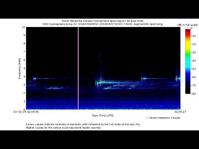 Powerful Sonar Pings and Sweeps in the Strait of Georgia