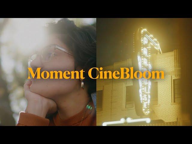 DON'T BUY A ProMist or PolarPro Filter Without Watching This... | MOMENT CineBloom Filters Review