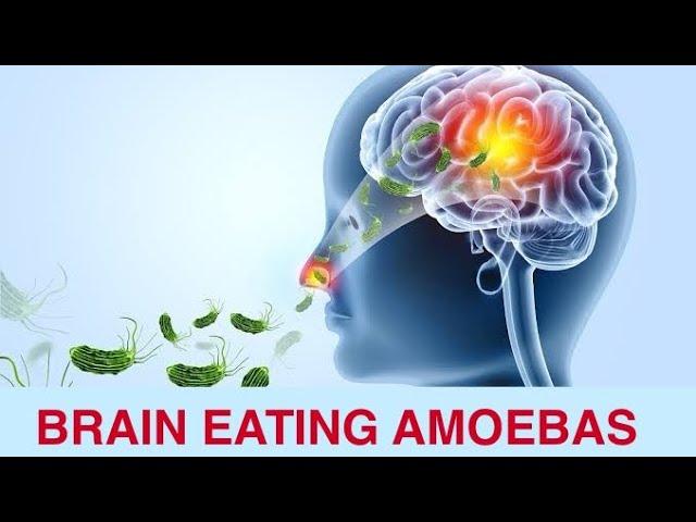 BRAIN EATING AMOEBA  | KERALA | STAY SAFE | TAMIL | @gowtham-mani