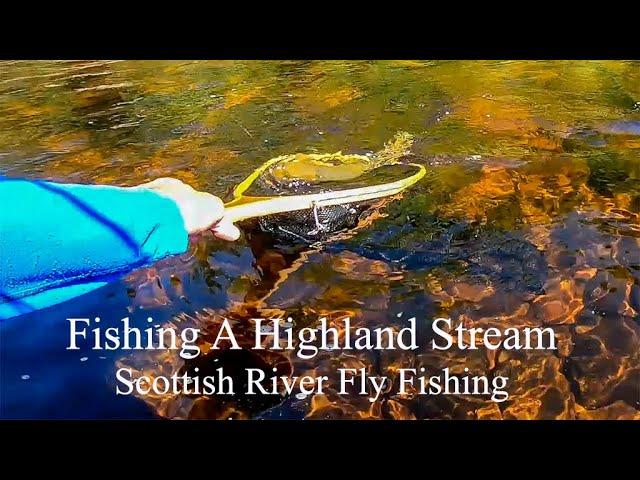 Fishing A Highland Stream. Scottish River Fly Fishing For Trout