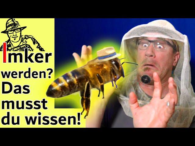 Bienen halten für Anfänger: Tipps für Imker-Neulinge - die wichtigsten Antworten auf eure Fragen