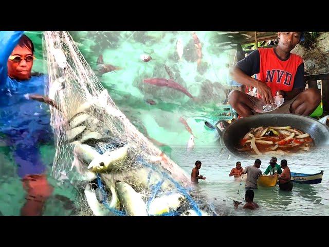 Post-Hurricane.! Fishermen Harvest Thousands of Fish on the Beach | catching fish and cooking