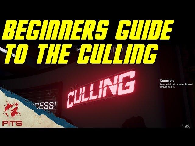 Beginners Guide to The Culling with Pitstop Head | Guide to The Culling