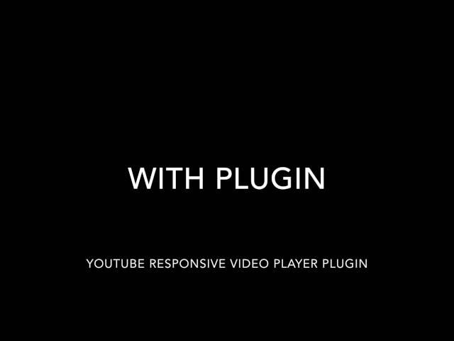 Youtube responsive video player wordpress plugin