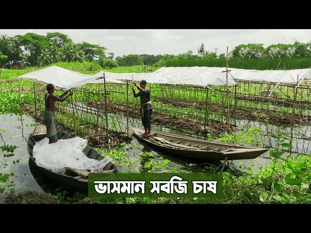 ভাসমান সবজি চাষ || Farming on Floating Plinth in Coastal Area of Bangladesh || Panorama Documentary