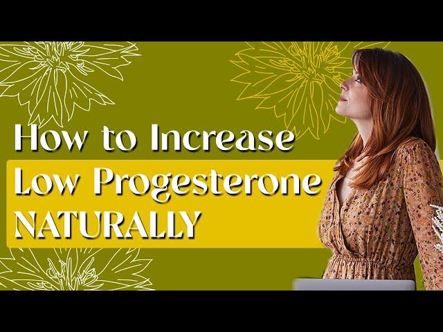 How to Increase Low Progesterone Naturally