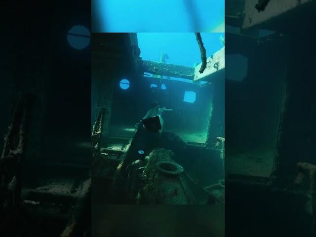 Underwater shipwreck discovered ‍️