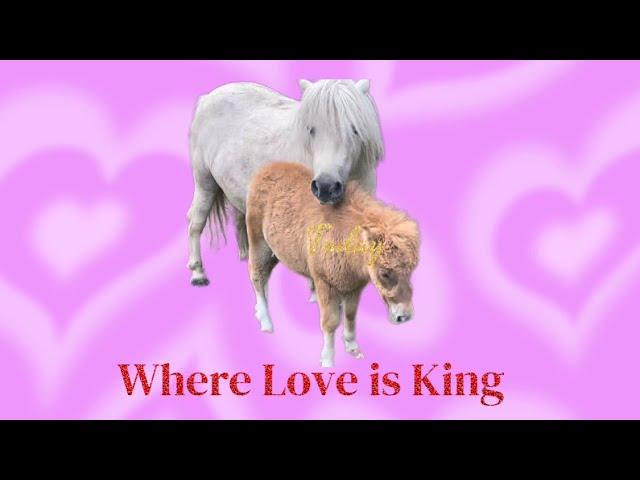 Don’t Miss Cute Shetland Mare & Foal in the paddock where Love is King. ️