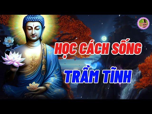 Học Cách Sống Trầm Tĩnh - Tâm Trí Giống Như Nước Khi Hỗn Loạn Khó Nhìn Thấu Khi Tâm Tĩnh Sẽ Rõ Ràng