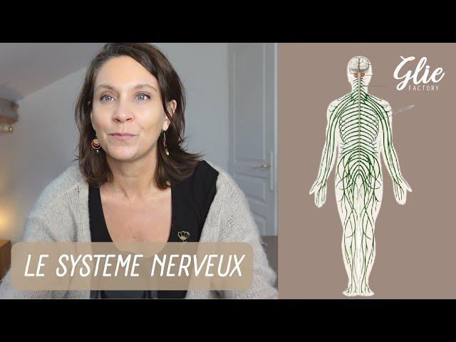 SYSTEME NERVEUX et SANTE