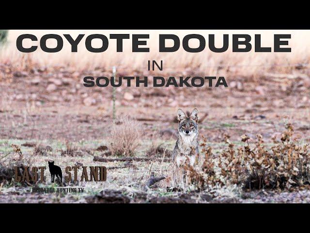 A Last Stand DOUBLE Coyote Hunting in South Dakota! | The Last Stand S5:E4
