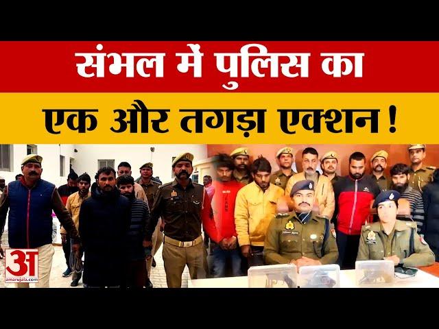 Sambhal News: संभल में पुलिस का एक्शन, हथियारों के साथ छह अपराधी गिरफ्तार! | UP News | Amar Ujala