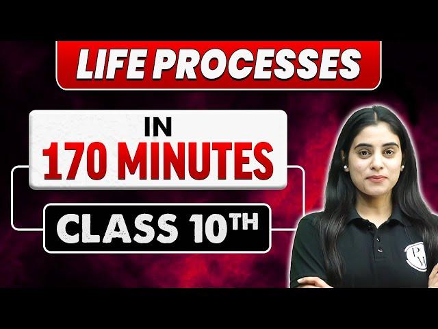 Complete 𝗟𝗶𝗳𝗲 𝗣𝗿𝗼𝗰𝗲𝘀𝘀𝗲𝘀 in 2 Hours 58 Minutes | Class 10th Board Exam