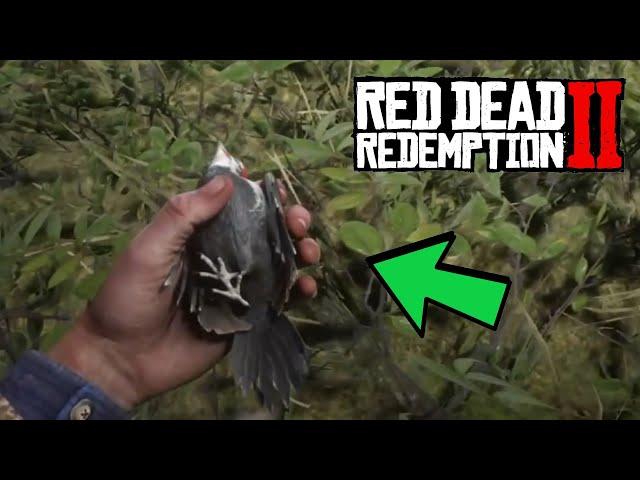 Где найти дятла в Red Dead Redemption 2