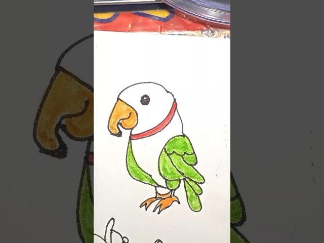 Easy to draw a beautiful parrot #parrot #drawing #art #ytshorts #tranding #fyp #drawingbirds