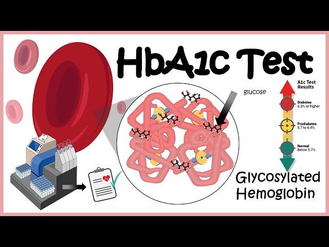 HbA1c Test ( Glycosylation of haemoglobin) | Diabetes