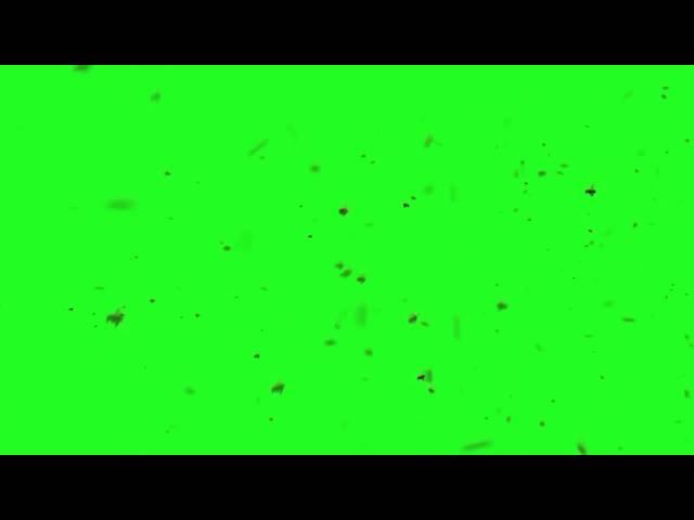 Bee Swarm   on green screen  1280x720MP4