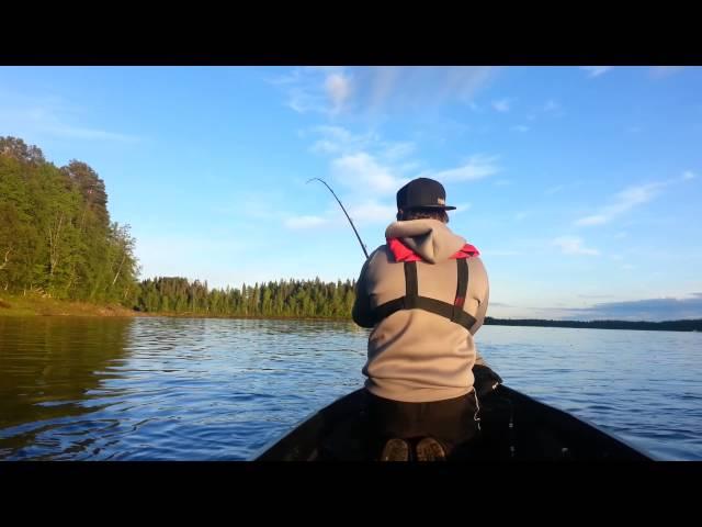 Saku, Santtu & A-P Naamisuvanto 2014 - Torniojoki: salmon fishing in Tornio River in Lapland Finland