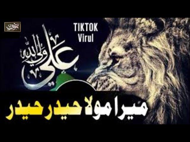 Mera Mola Haider Haider | TikTok Viral |AliHaqAli | Hafiz Rizwan Ghuman | Full Manqabat 2022