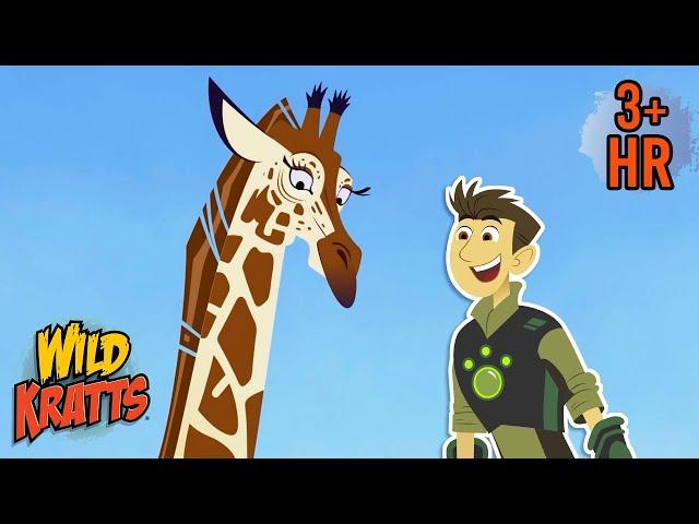 The Long Necks of Giraffes | Full Episodes | Wild Kratts