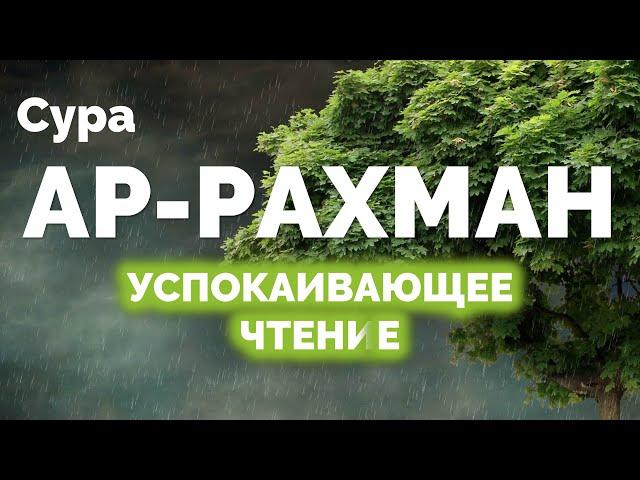 Успокаивающее и умиротворяющее чтение Корана под звуки дождя и грома | Сура Ар-Рахман, Омар Хишам