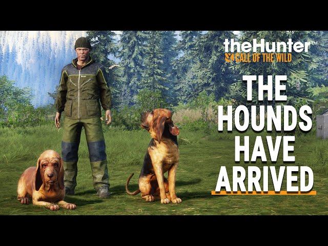 BLOODHOUND DLC - FIRST LOOK - TheHunter Call of the Wild