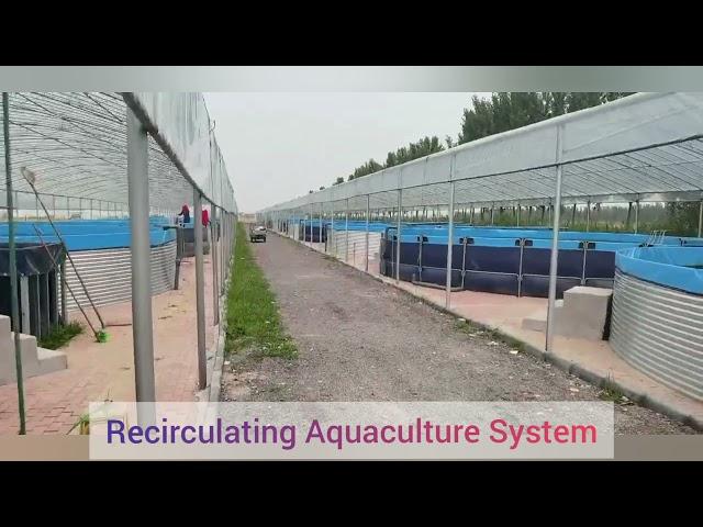 Aquaculture System tank Fish Farming Tank