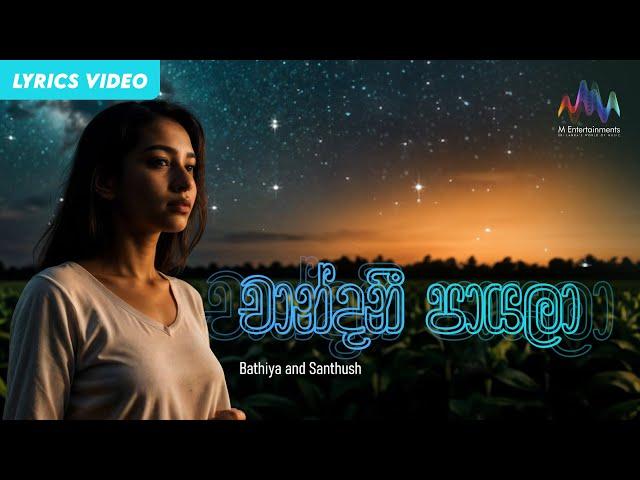Chandani Payala (චාන්දනී පායලා) - @bnsmusic  ft Sarangan Sriranganathan | Lyrical Video