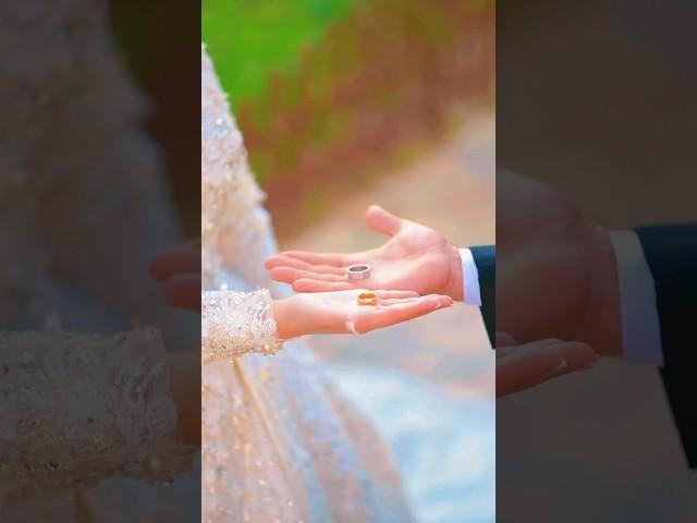 Как вам такое ? #свадьба #wedding #обручальныекольца #tiktok #shorts #тренды