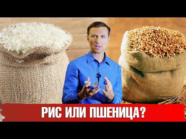 Рис или пшеничная мука: что полезнее для здоровья? Рис и мука – польза или вред.