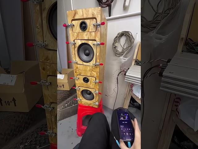 Nice Bookshelf speaker midrange sound