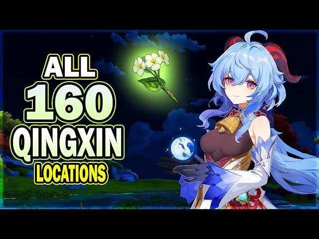 All 160 Qingxin Locations - Efficient Farming Route | Shenhe Ascension Material | Genshin Impact