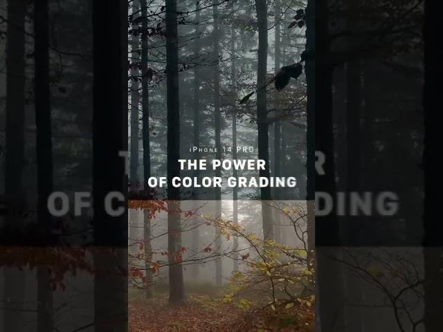 The power of Color grading | iPhone 14 PRO TUTORIAL…