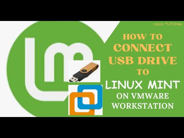 How to connect a USB Drive to Linux Mint on VMware Workstation