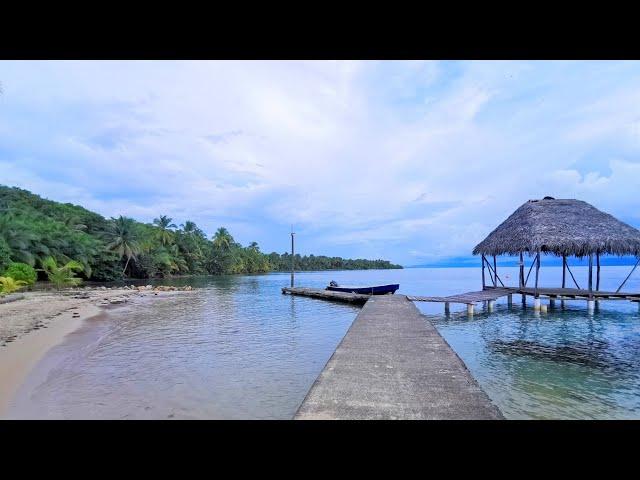 Virtual walk of wild Caribbean beach and Jungle | Bocas del Toro, Panama