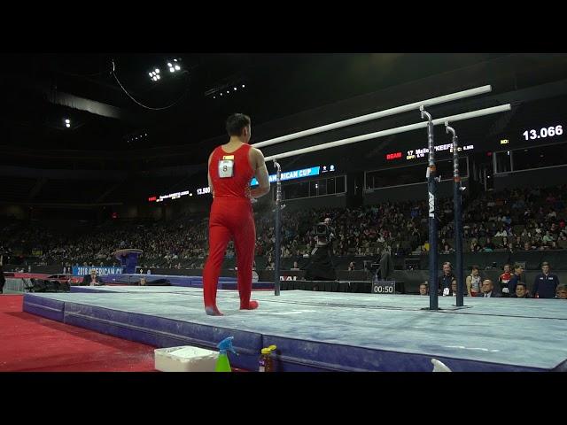 Sun Wei (CHN) - Parallel Bars - 2018 American Cup