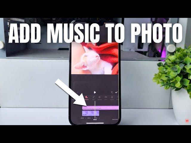 iPhone 13/Pro: How To Add Music To Photo On iPhone