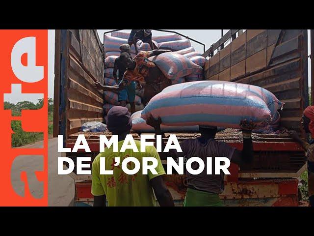 Côte d’Ivoire : haro sur le cacao | ARTE Reportage