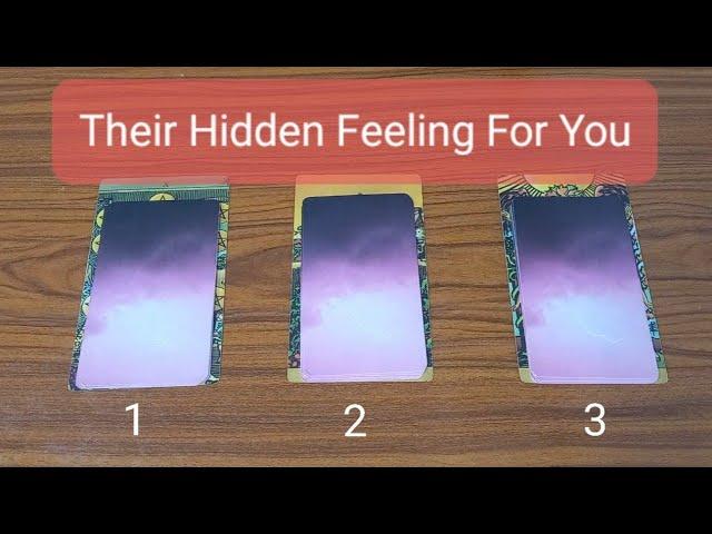 Their Hidden Feeling For You  သူသင့်အ​ပေါ် ဖုံးကွယ်ထားတဲ့feelingက ဘာလဲ  Pick A Card