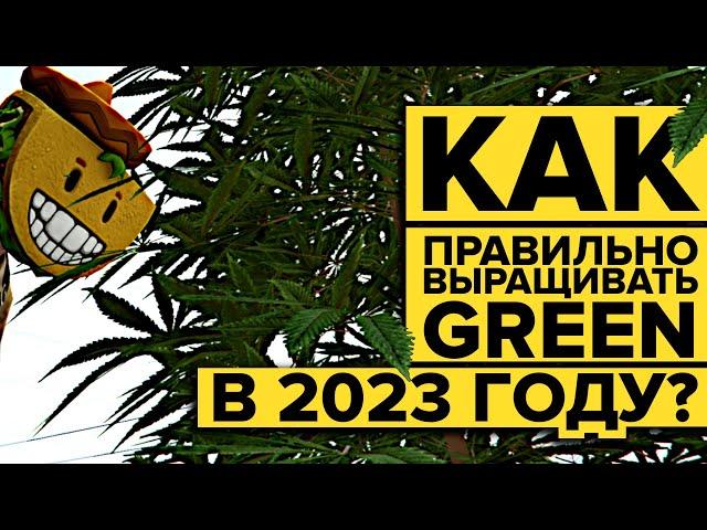 КАК ПРАВИЛЬНО ВЫРАЩИВАТЬ НАРКОТУ В 2023 ГОДУ НА MAJESTIC RP