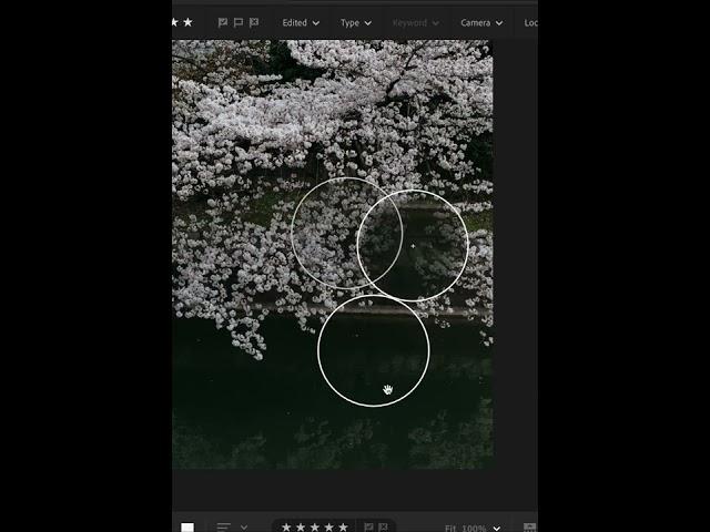 Using the Lightroom Healing Brush #shorts