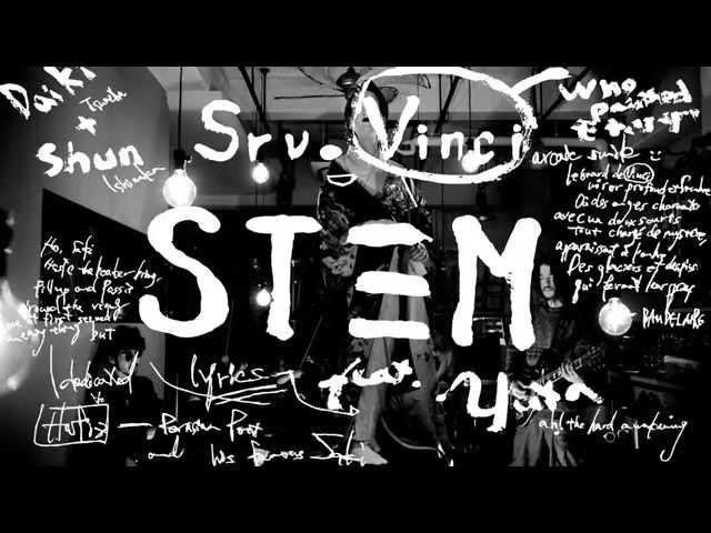 Srv.Vinci - Stem