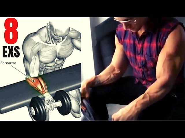 8 Best forearm workout with dumbbells