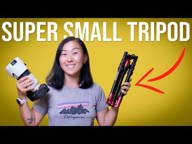 BEST Small Tripod for Travel? Manfrotto Element Traveller Tripod Review