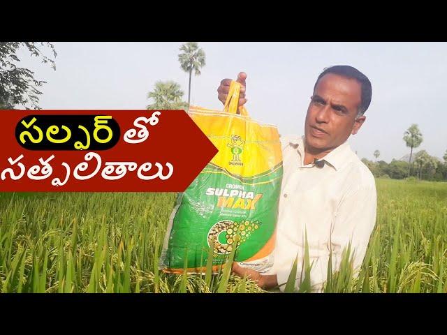 పంటలపై సల్ఫర్ యొక్క ప్రయోజనం | Use of Sulphur in crops | Sulphur in paddy | Karshaka Nestham