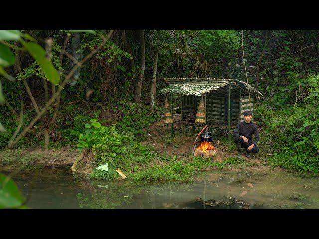 30 Days solo survival CAMPING in the Rainforest. Living and Bushwalking. Full Video