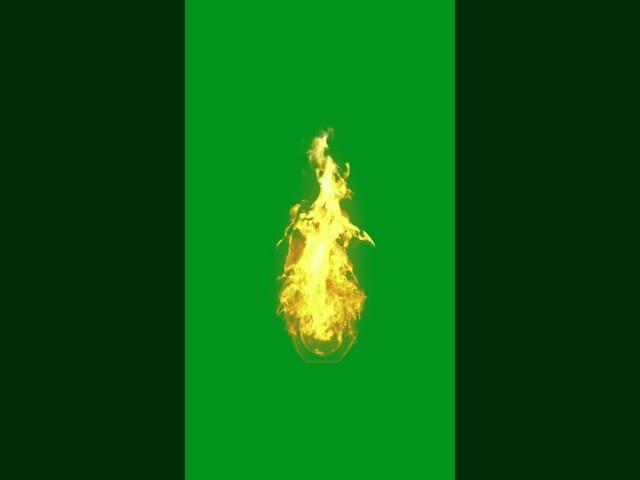 Fire green screen no copyright |green screen fire effect | green screen fire free #mz_editz #fire