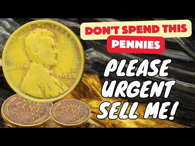 Most Expensive Penny in The World! Rare Pennies Worth Money in Cirulation 2024 #getrichquick